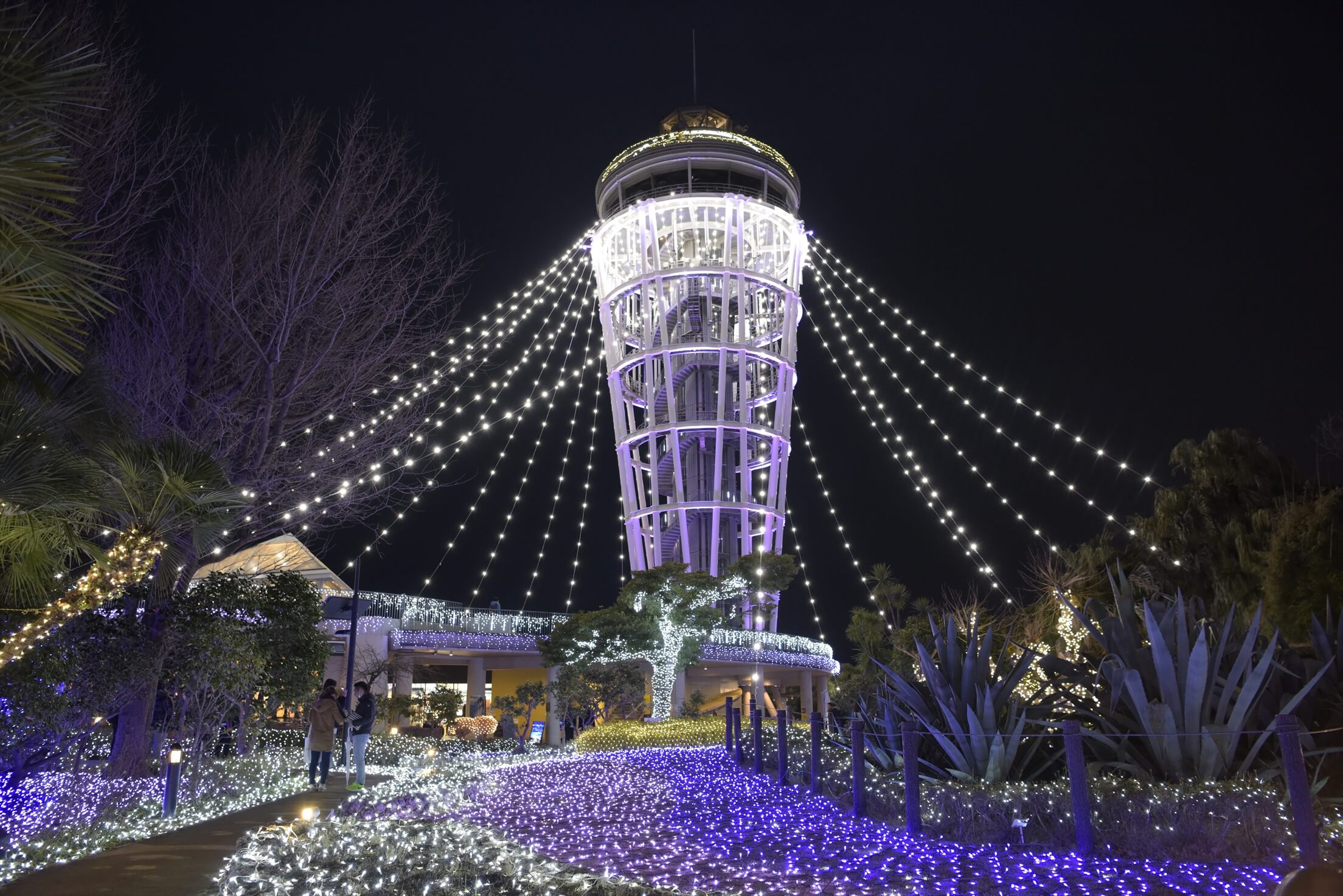 2月イベント 夜景 イルミネーション撮影講座 第4回 江ノ島 写真の学校 東京写真学園